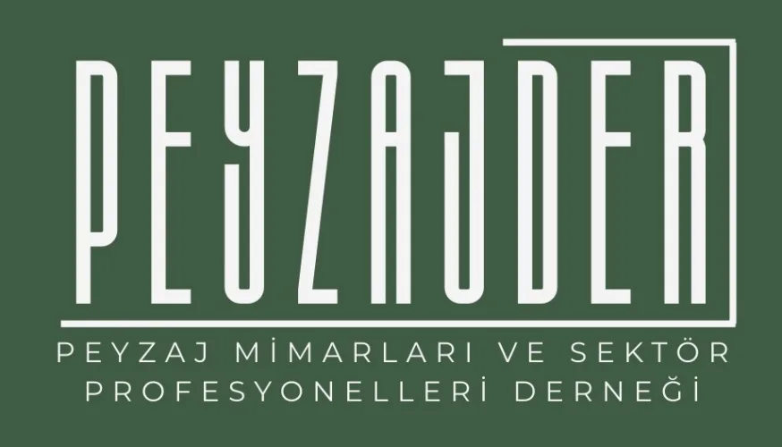 Peyzajder 2